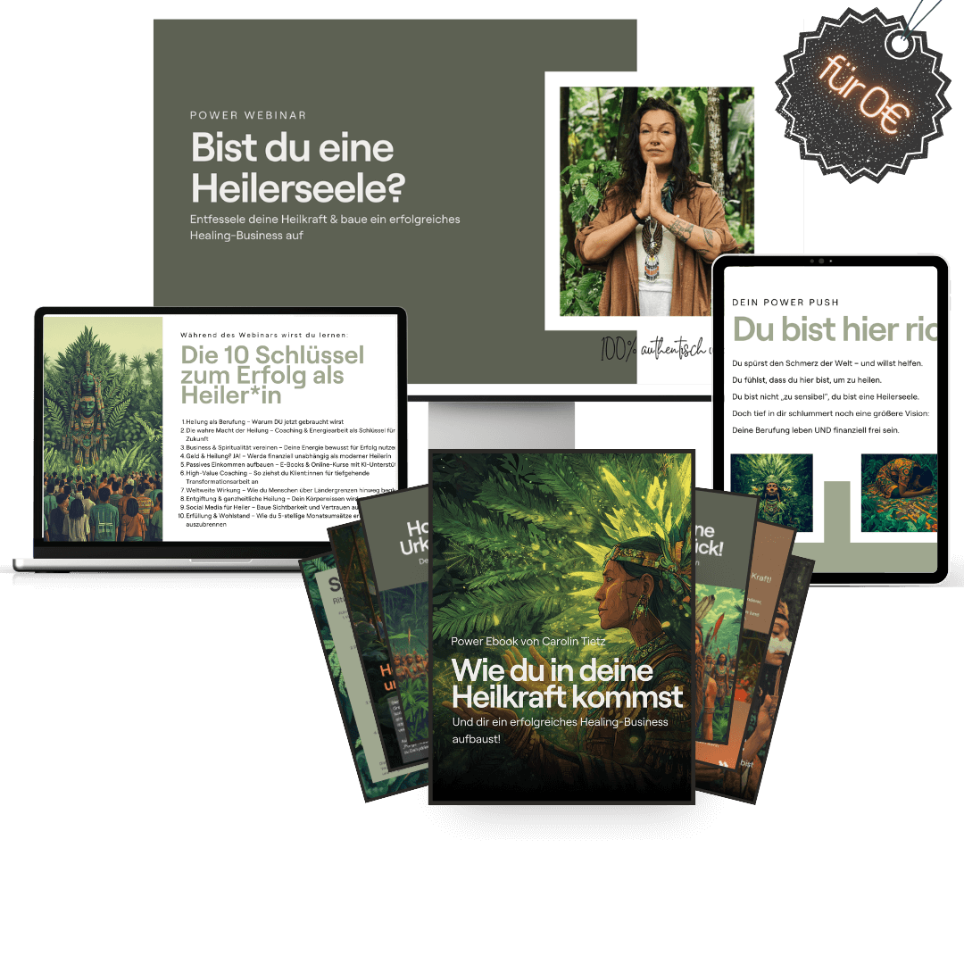 Healing Coach Erfolgswebinar mit Carolin Tietz